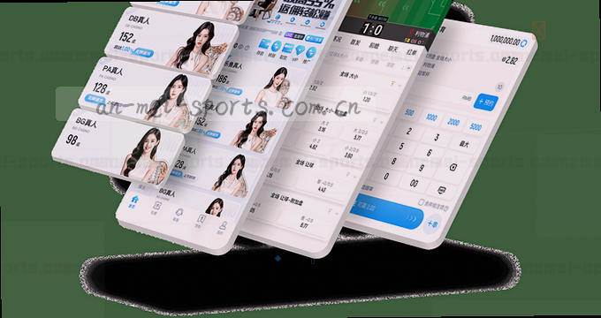 手机入口 配图 功能示意